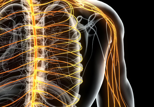 Understanding the Neurological Test for Charcot-Marie-Tooth Disease